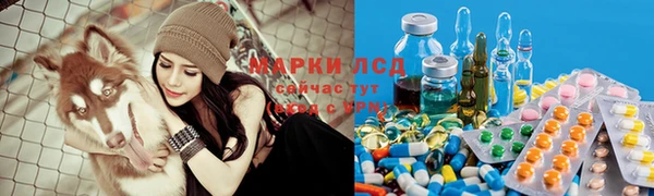 крисы Абинск
