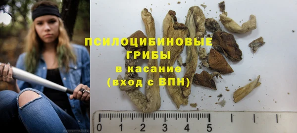крисы Абинск