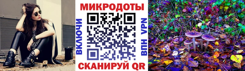 kraken ССЫЛКА  Владимир  Псилоцибиновые грибы Psilocybine cubensis 
