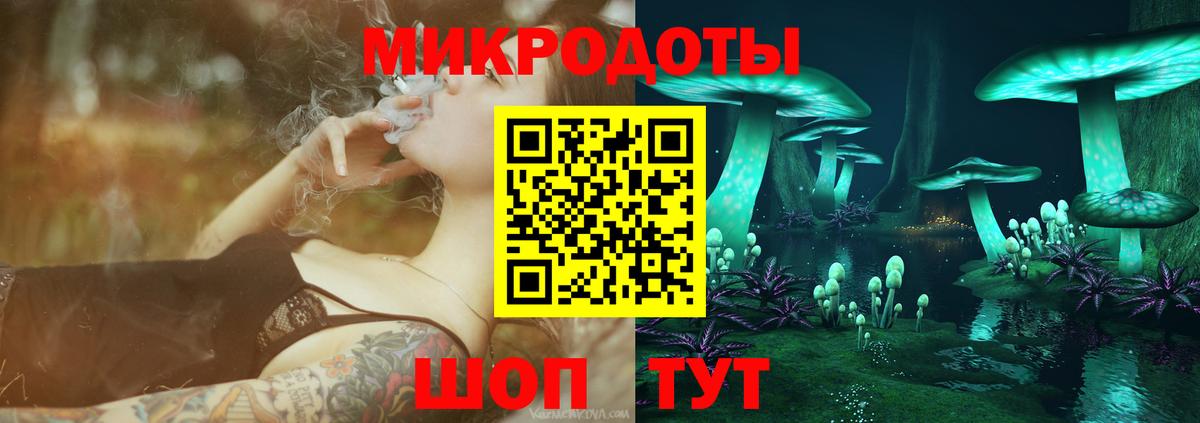 как найти   Псилоцибиновые грибы прущие грибы  Вход с VPN  Владимир 